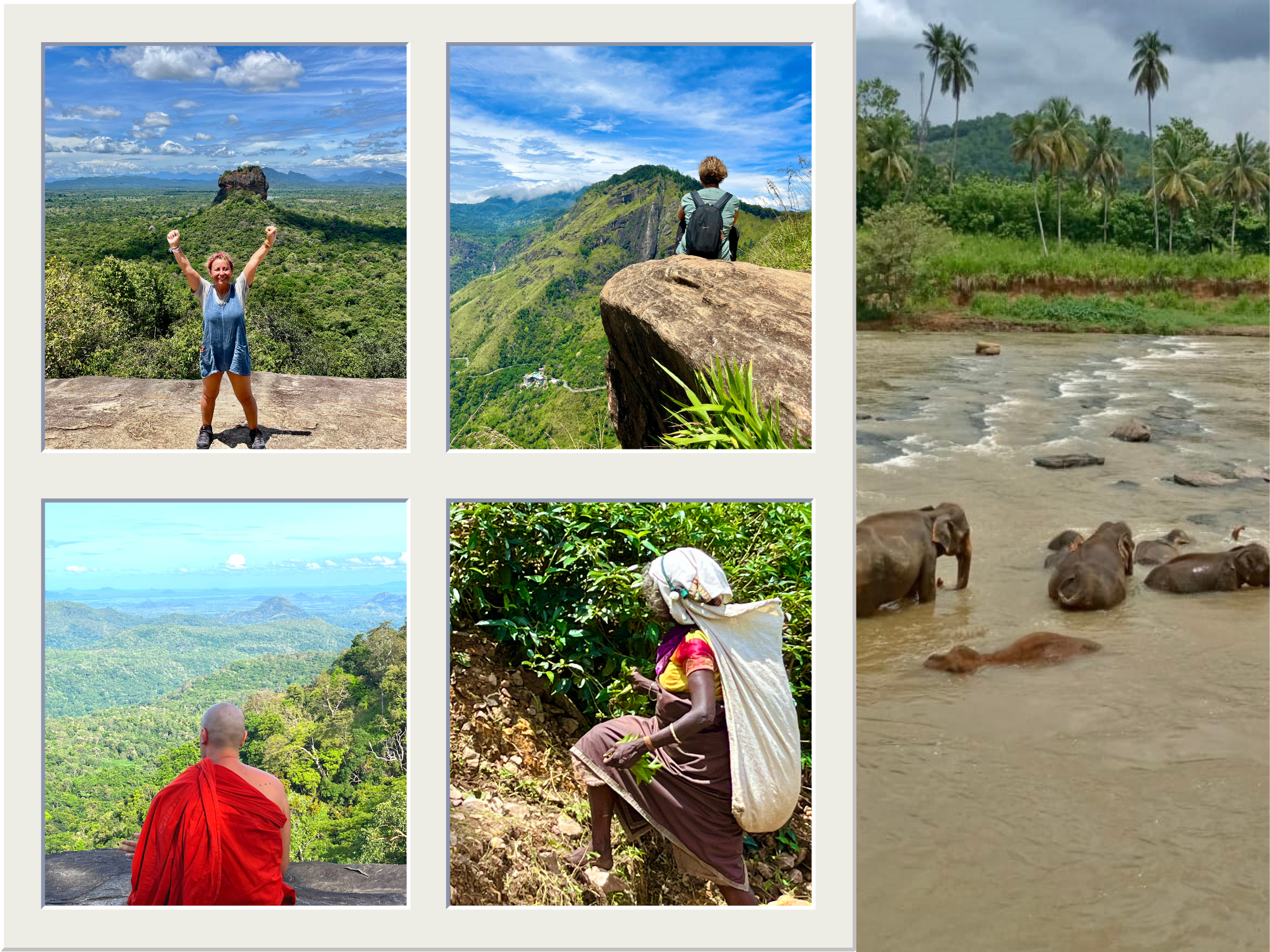 Collage de Sri Lanka